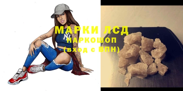 стаф Арсеньев
