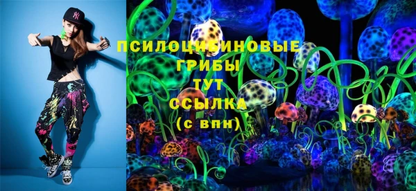 СК Аркадак