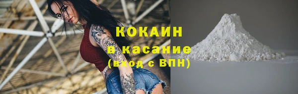 стаф Арсеньев