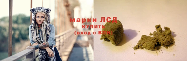 СК Аркадак