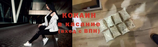 стаф Арсеньев