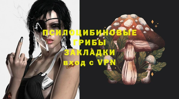 стафф Армянск