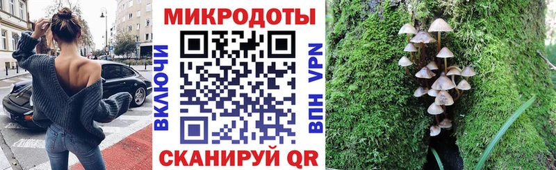 Галлюциногенные грибы ЛСД  ОМГ ОМГ ONION  Петрозаводск 
